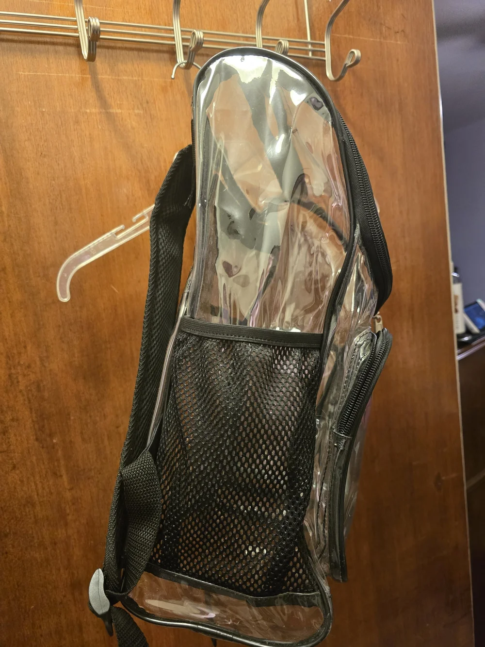Clear PVC Black-Trim Men's Backpack - Transparent Travel Bag